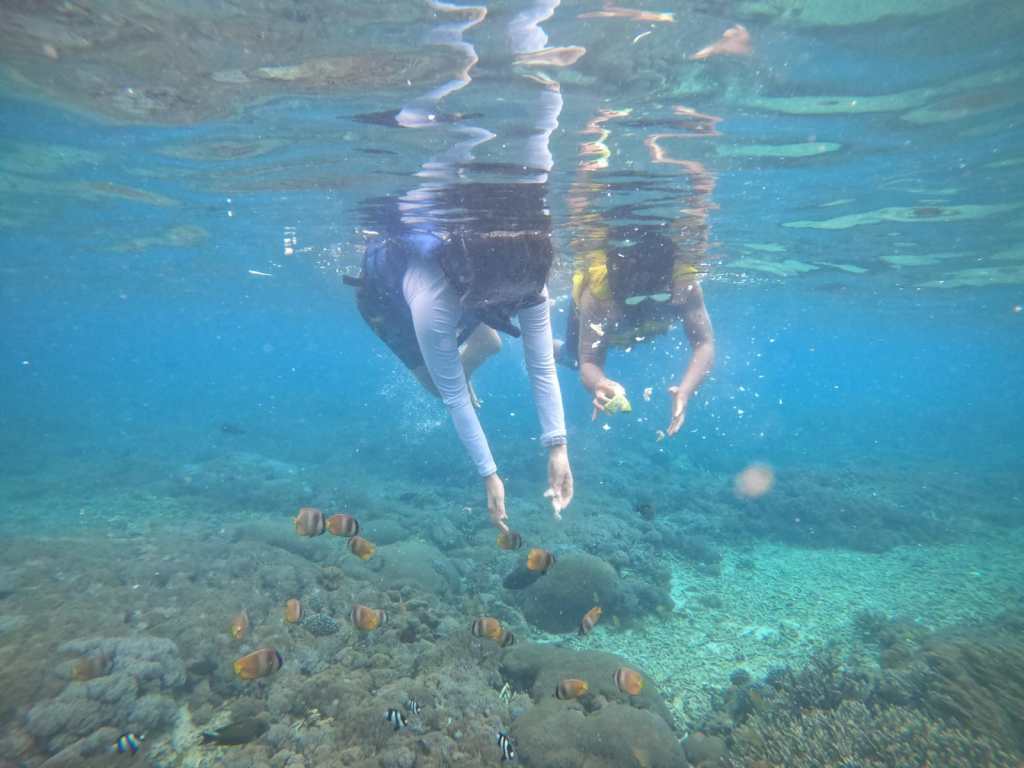 Bali Tour Adventure&nbsp;5H/4M