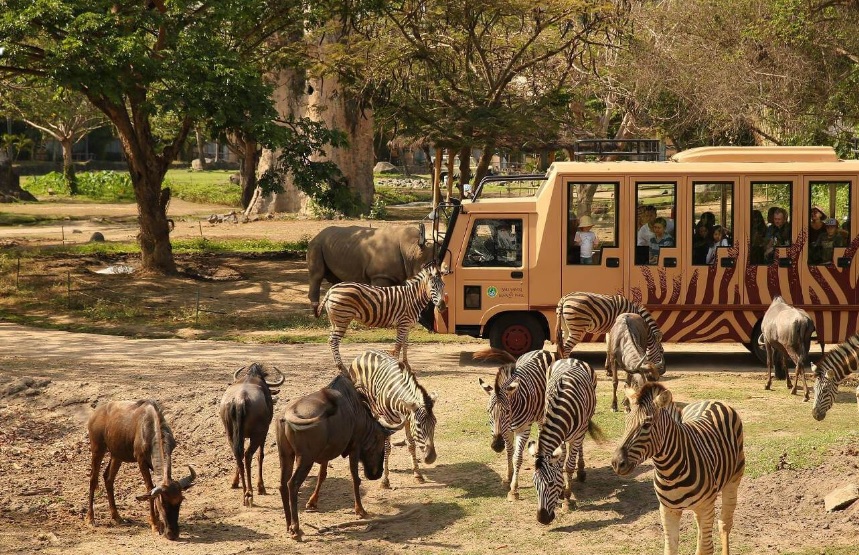 Bali Safari