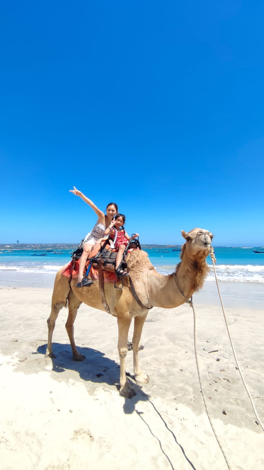 Bali Camel Ride